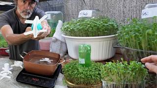 Amateur Gardener Breaks the Internet Again with Easy Grow System
