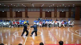 中國武學會 台北武風大會 演出-4