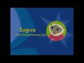 PBS Kids Channel Next Pinball Sagwa The Chinese Siamese Cat 2001 2005