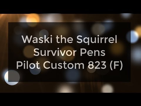 Survivor Pens: Pilot Custom 823 F Video