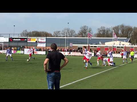 Valleivogels -  scherpenzeel 1 -  4