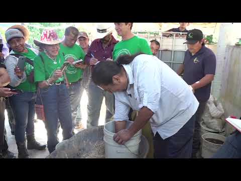 PELIGRO HERBICIDAS = MUERTE (2/3)