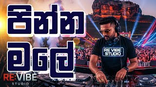 Download lagu PINNA MALE | පින්න මලේ - EDM COVER @REVIBESL-k3c mp3