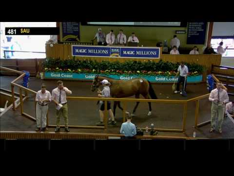 2017 Gold Coast Yearling Sale - Day 3 - Lots 481 to 720