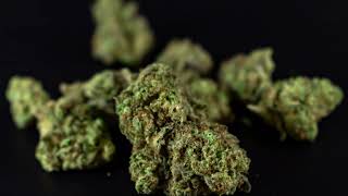 ChemDawg Strain