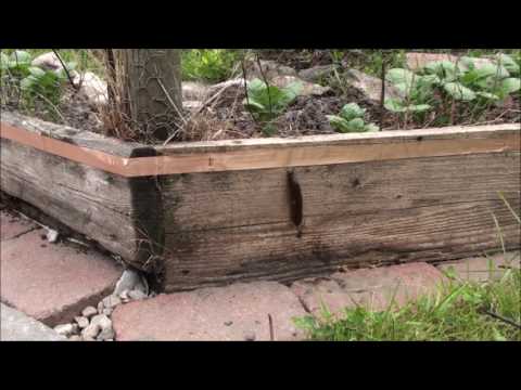 Snigeltejp i verkligheten