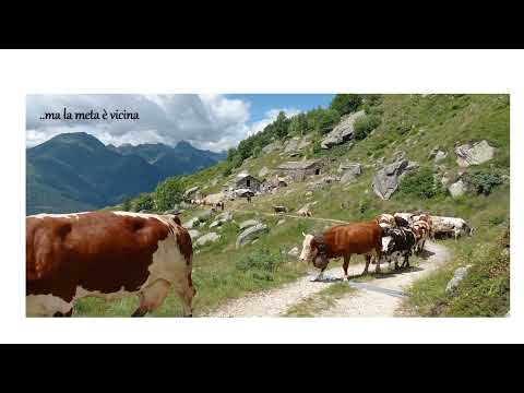 Tramut Gamba Troglia Bernardino giugno 22