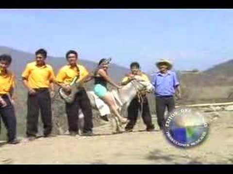 AMANECER NORTEÑO DE SAPILLICA - Final sin explicación