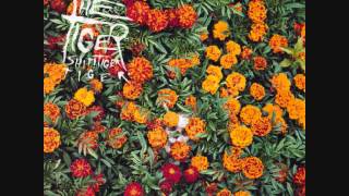 TIGER! SHIT! TIGER! TIGER! - TWINS (FOREVER YOUNG LP/CD)