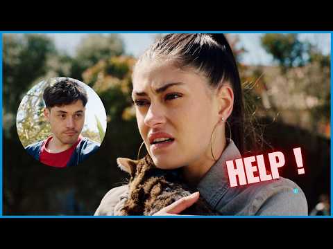 Résumé épisode 1444 - Ici tout commence