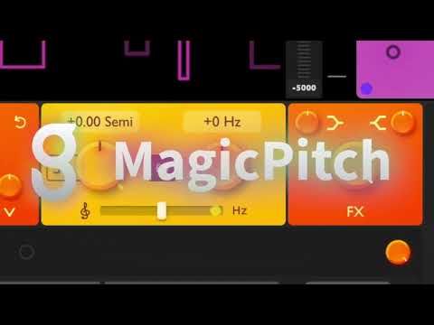 GS DSP MagicDelay & MagicPitch