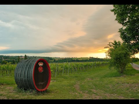 VDP Regionalverband Sachsen / Saale-Unstrut Imagefilm