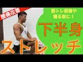 【下半身ストレッチ】6分半ストレッチでコリと本来の機能を改善!(筋トレ前後・寝る前に)