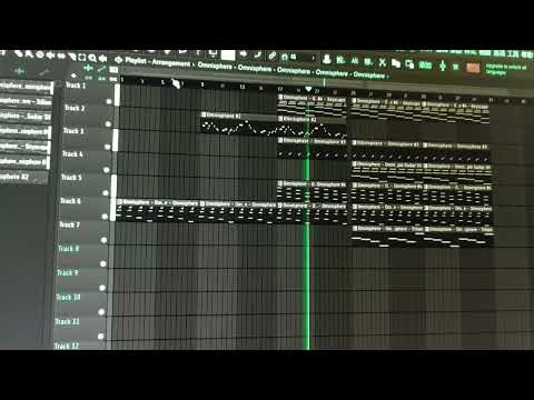 When a newcomer plays FL Studio for the first time