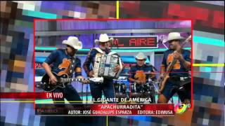 BRONCO  Apachurradita