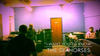 I Want You To Know - Seahorses Cover