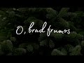 🎄 O, brad frumos  - Colinde 🎵