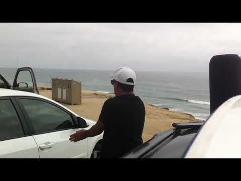 Dear Neighbor I Flapo l PayMan I South Ponto Beach I Cali...