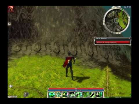 Guild Wars- How to farm elite monk tomes with a Necro