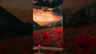 Download lagu do pal ruka khwabon ka karwan hd #do pal ruka khwabon ka karwan hd whatsapp status mp3