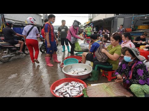 Phsa Trey Prek Phnov on Morning - Walk Around Fish Market @Bridge Prek Phnov
