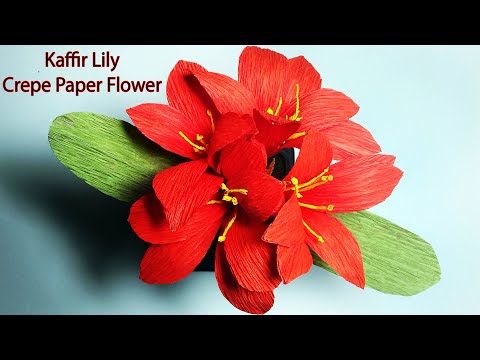 Kaffir Lily Crepe Paper Flower[2020]Easy way to make Kaffir Lily/Clivia Miniata Crepe Paper Flowers!