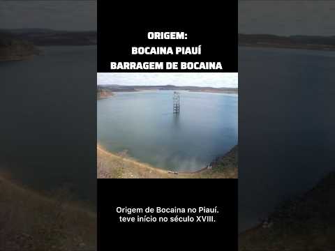 ORIGEM: BOCAINA PIAUÍ