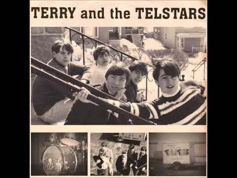 Reasons - Terry and The Telstars