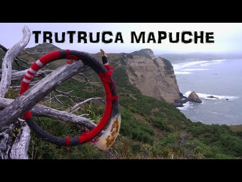 Trutruca Mapuche-Dany Riaño