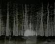 BLAIR WITCH COLLECTION