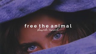 sia - free the animal (slowed + reverb)