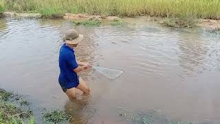 Fishing at the rice field#Countrylife#cambodia #ricefield #cooking #locallife #localfood