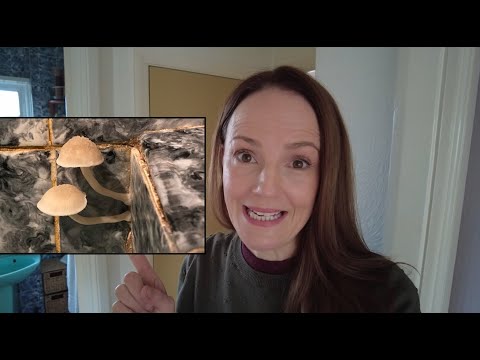 Disgusting Mushrooms Growing in the Bathroom - Yuk!