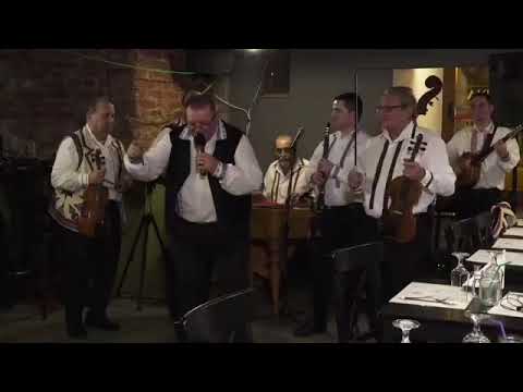 PETRICĂ MOISE ȘI VIRTUOZII BANATULUI