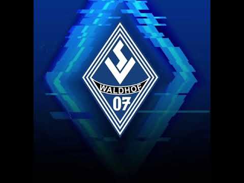 Waldhof Mannheim Song Blau und Schwarz💙🖤