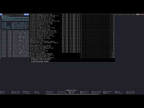 ArcoLinux : 1763 Updating our currrent DWM installation and rebooting