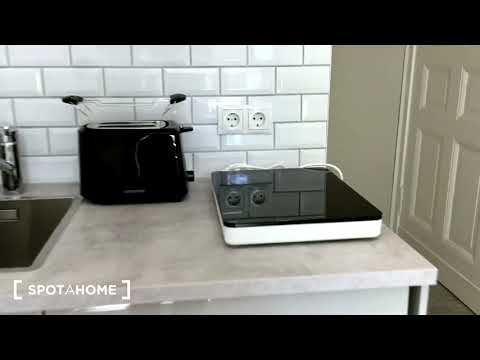 Modern studio apartment for rent in Mitte - Spotahome (ref 335304)