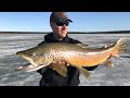 Video Thumbnail for +25 deg Ice Fishing Big Brown Trout