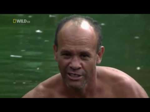 The Man Who Swims With Crocodiles