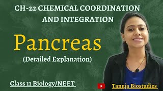 Ch-22 Chemical coordination and integration | PANCREAS | Class 11 Biology/NEET
