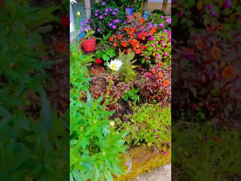 La Llanada Nariño 20_26 #fyp #viral