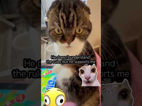 Video cover
