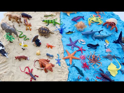 Land Animals Vs  Ocean Animals Toys | Learn Animal Names For Kids