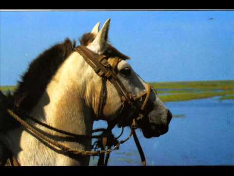 FG  Mi Caballo - Angel Ávila