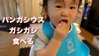 コストコのパンガシウスを焼いて食べたらめちゃ美味！！ Bake Pangasius bought at Costco and it was delicious! !