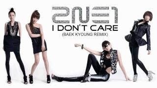 [HD] 2NE1~ I Don't Care (Baek Kyoung Remix) [MP3]
