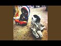 Reno - Blitzen Trapper - Topic Reno