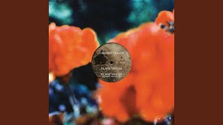 Planetarium (Gigi Masin Remix)