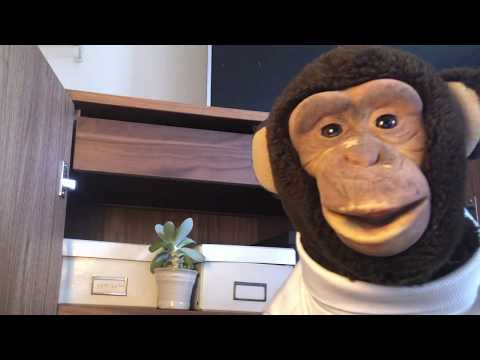 Alejandro – Nu vänder det!