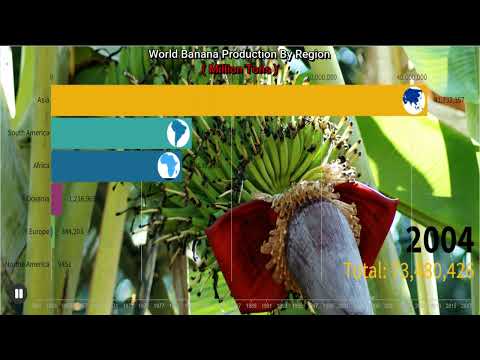 Asia Vs America Vs Arica Vs Europe Vs Oceania   || 7 Continents Banana Production? 🍌🍌🍌